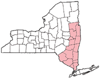 Eastern New York Section